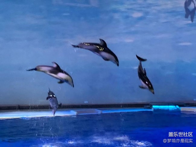 【這里是】＋上海海昌海洋公園