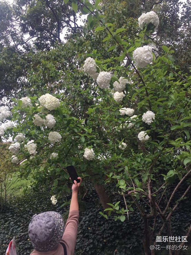 【這里是】揚(yáng)州西湖