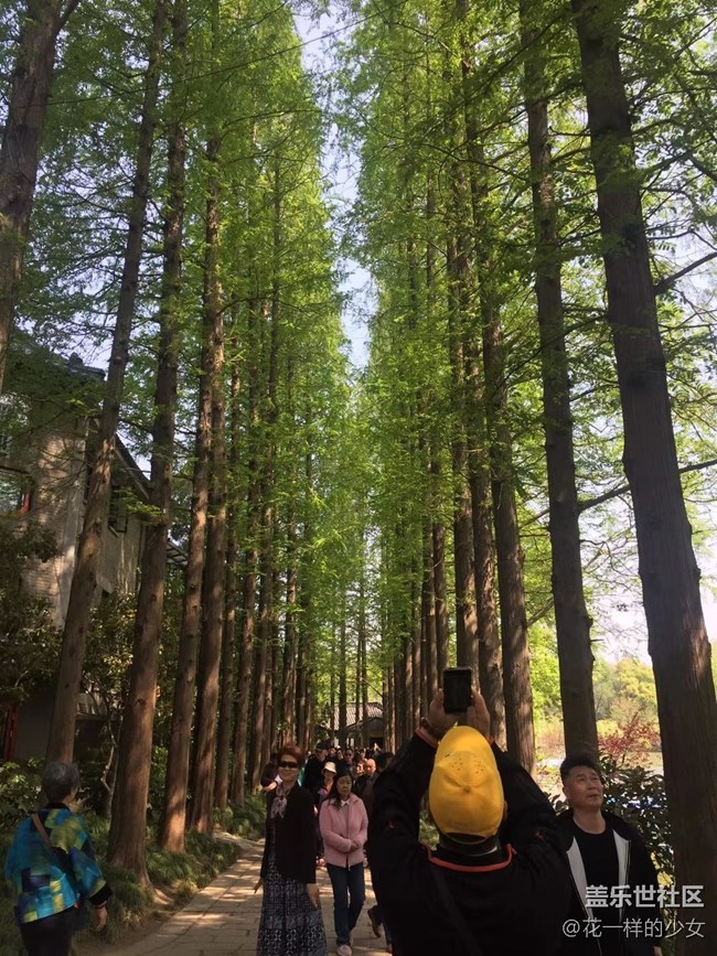 【這里是】揚(yáng)州西湖