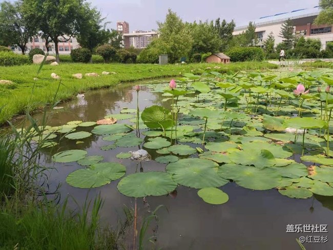 【這里是】＋俺們學(xué)校