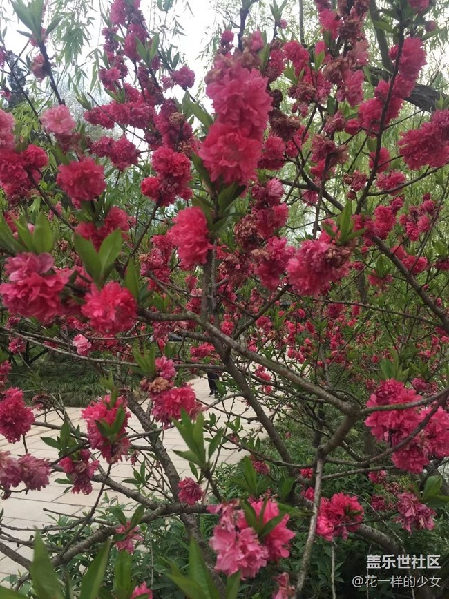 【這里是】揚(yáng)州西湖