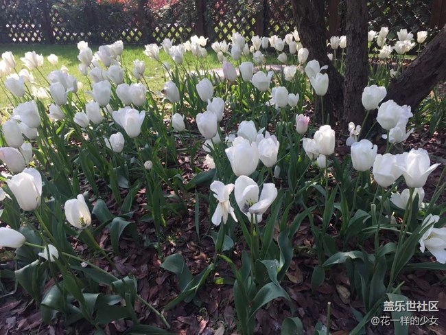 【這里是】揚(yáng)州西湖