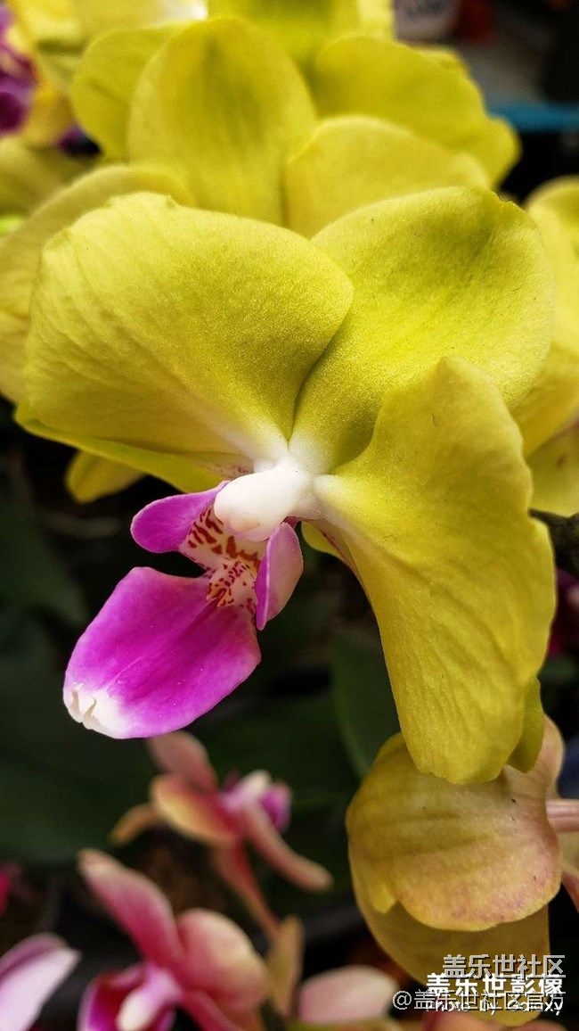 《每周星鮮事》 第73期