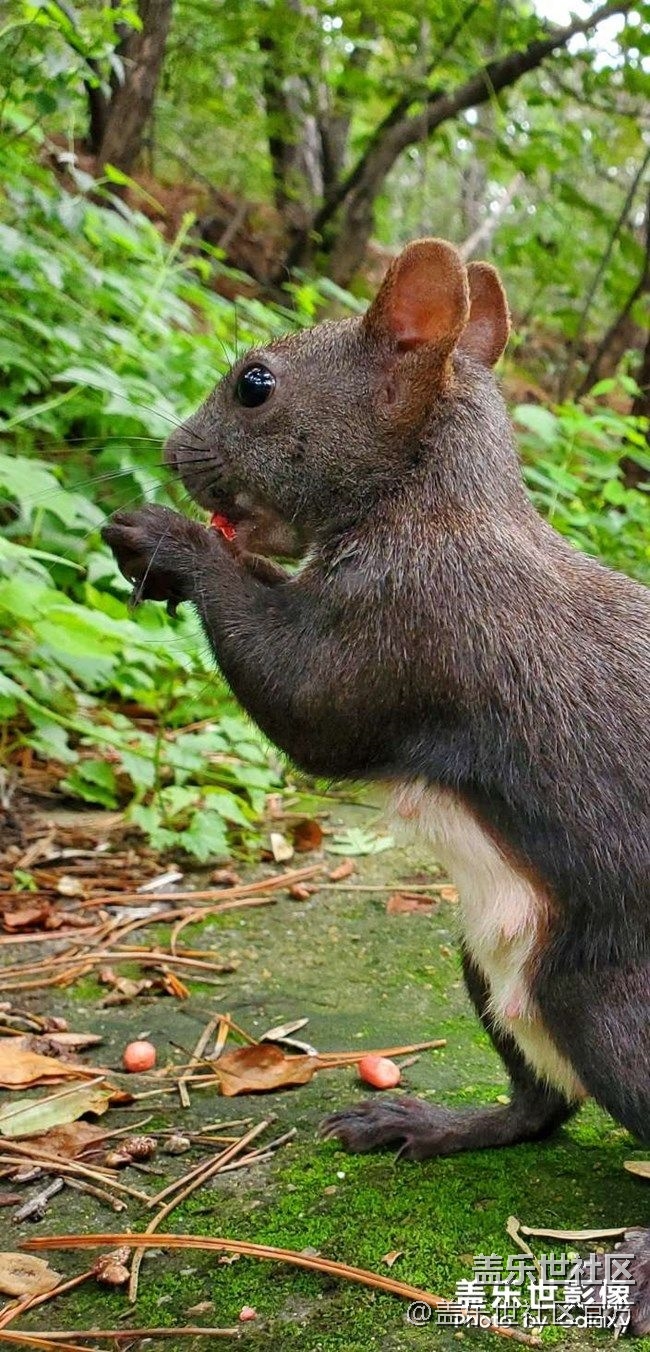 《每周星鮮事》 第73期