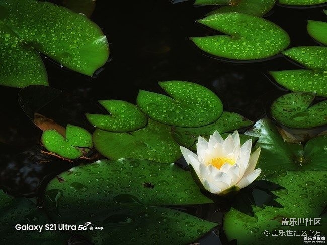 《每周星鮮事》 第73期