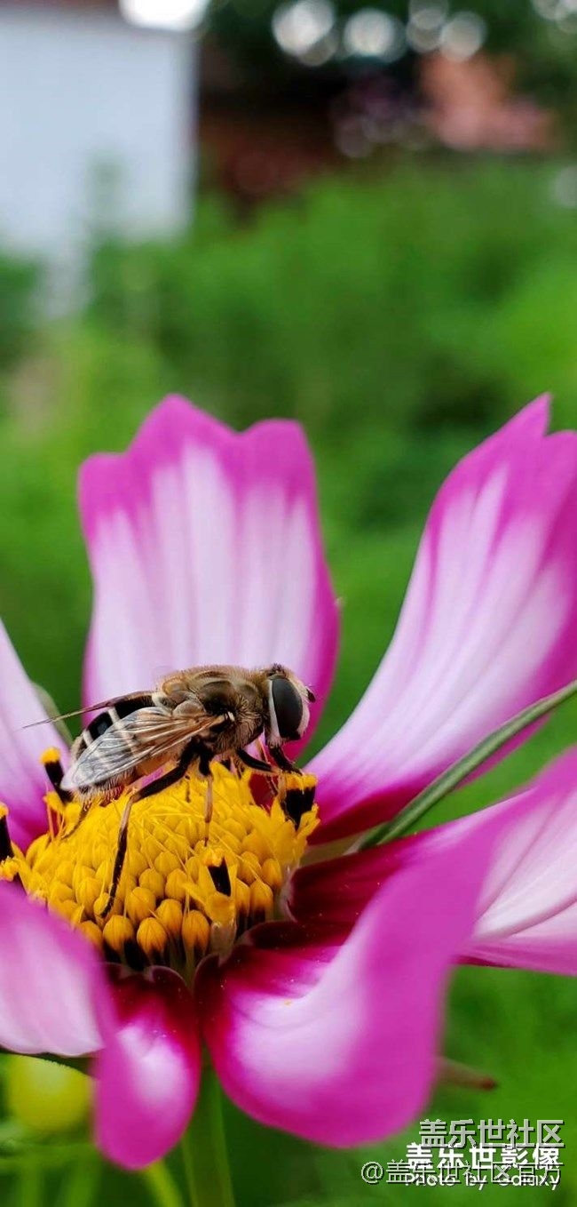 《每周星鮮事》 第73期