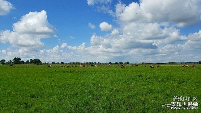 《每周星鮮事》 第73期