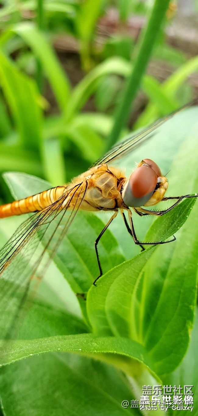 《每周星鮮事》 第73期