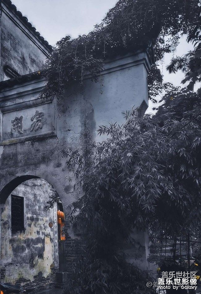 《每周星鮮事》 第73期