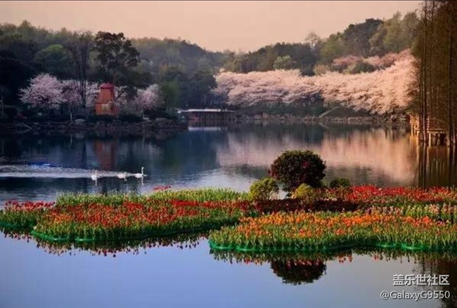 【活動(dòng)招募】2021年7月18日 長沙星部落線下攝影活動(dòng)