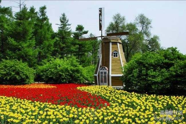 【活動(dòng)招募】2021年7月18日 長沙星部落線下攝影活動(dòng)