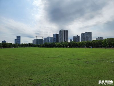 【夏了夏天】+夏日公園隨手拍