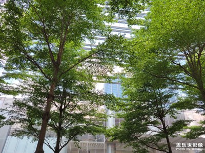 S21+拍照實測