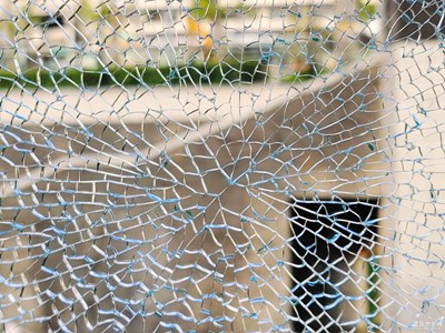 【夏了夏天】+S21U照進夏日