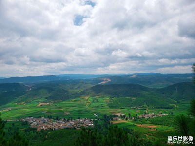 山野
