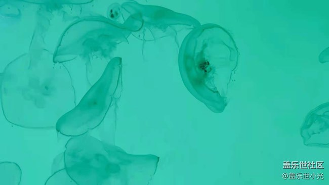 沈陽星部落暢游海底世界 沈陽星部落暢游海底世界