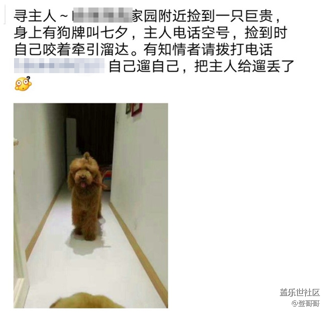 已開(kāi)獎(jiǎng)【寵物7月第四期】經(jīng)歷過(guò)寵物走丟，或者失而復(fù)得？