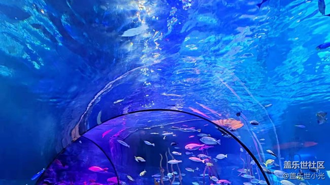 沈陽星部落暢游海底世界 沈陽星部落暢游海底世界