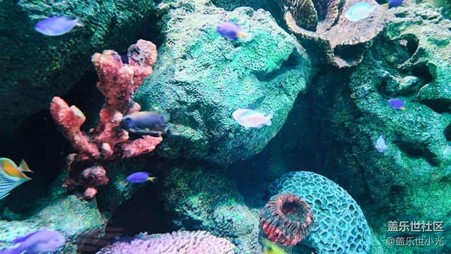 沈陽星部落暢游海底世界 沈陽星部落暢游海底世界