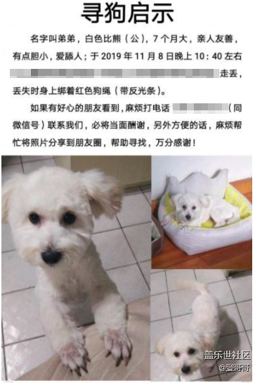 已開(kāi)獎(jiǎng)【寵物7月第四期】經(jīng)歷過(guò)寵物走丟，或者失而復(fù)得？