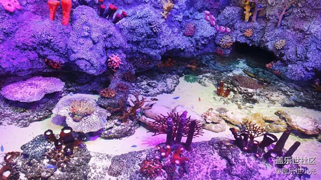 沈陽星部落暢游海底世界 沈陽星部落暢游海底世界