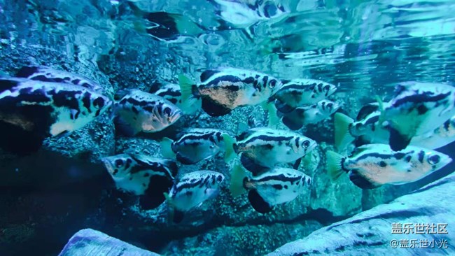 沈陽星部落暢游海底世界 沈陽星部落暢游海底世界