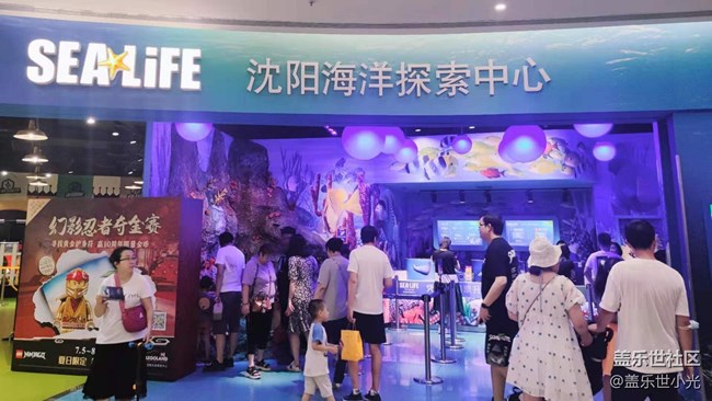 沈陽星部落暢游海底世界 沈陽星部落暢游海底世界