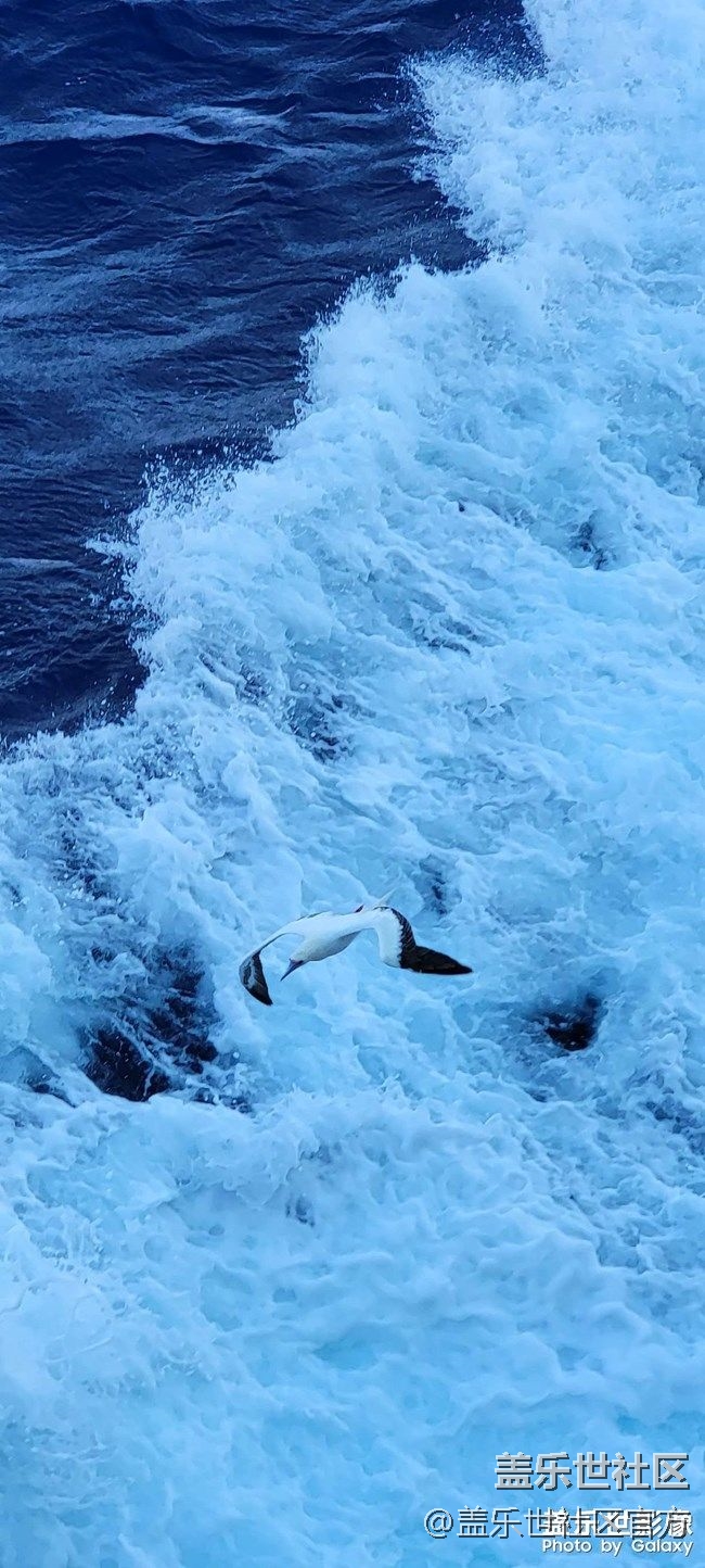 《每周星鮮事》 第74期