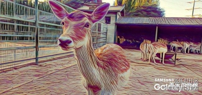 《每周星鮮事》 第74期