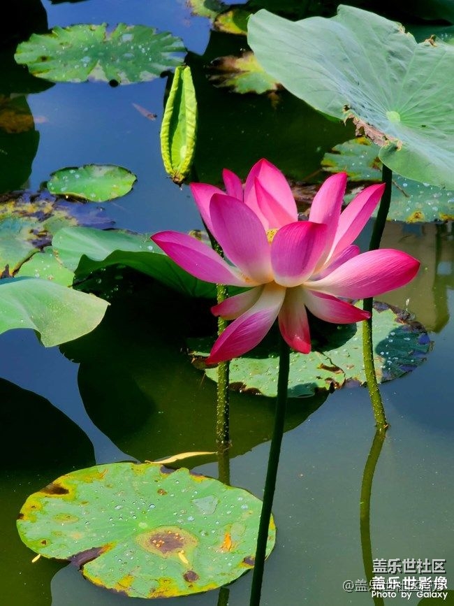 《每周星鮮事》 第74期