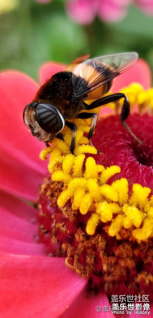 《每周星鮮事》 第74期