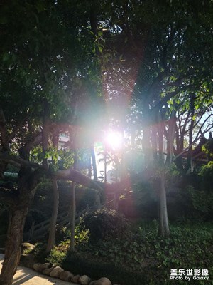 紅十字之光
