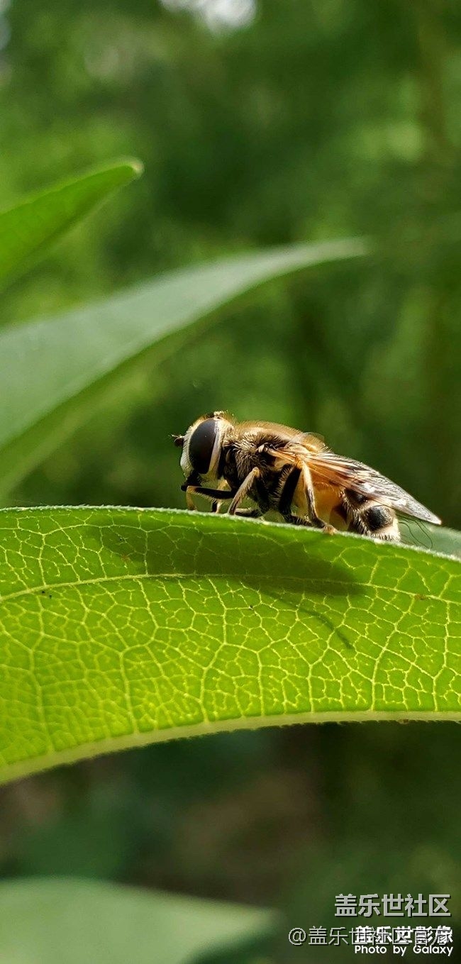 《每周星鮮事》 第74期