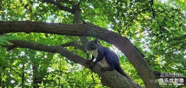 《每周星鮮事》 第74期
