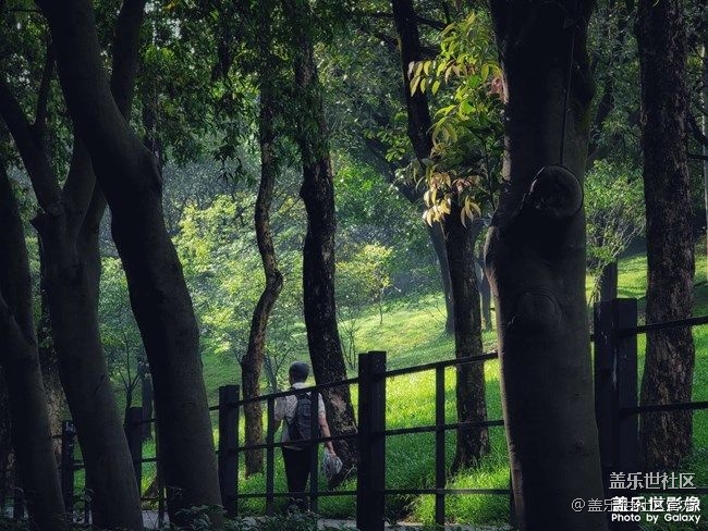 《每周星鮮事》 第74期