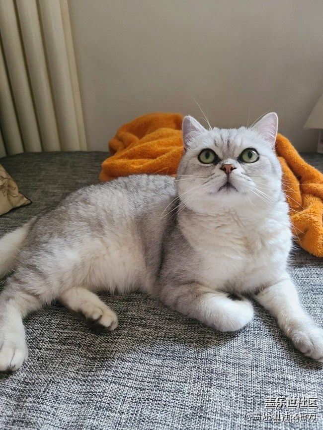 《每周星鮮事》 第74期:加入Z尊享匯 即送500星鉆