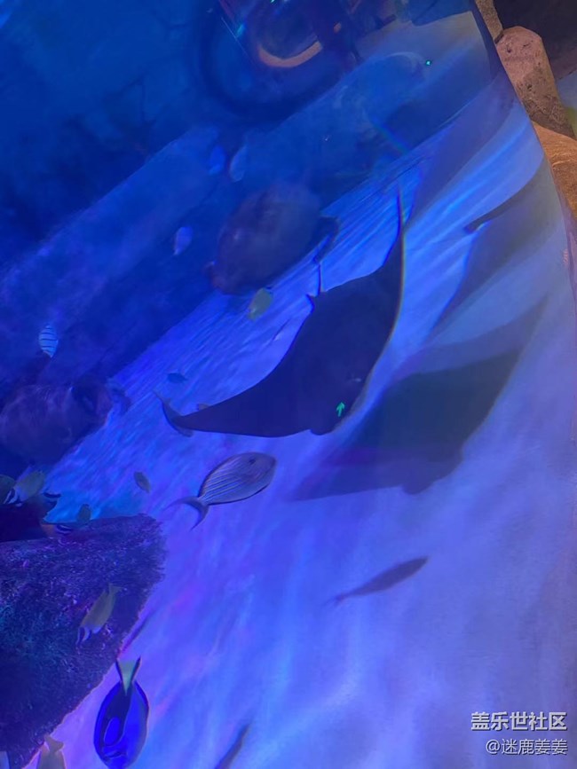 0718完美周末~與三星一起探尋海洋世界奇妙小生物！