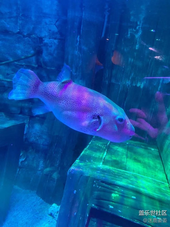 0718完美周末~與三星一起探尋海洋世界奇妙小生物！