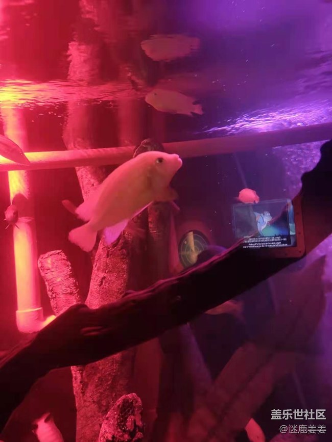 0718完美周末~與三星一起探尋海洋世界奇妙小生物！