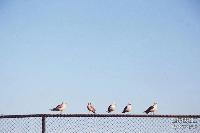【這里是】大連旅順