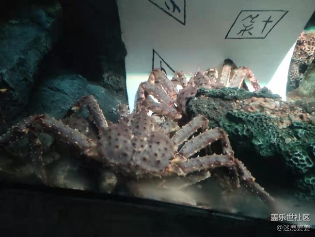 0718完美周末~與三星一起探尋海洋世界奇妙小生物！