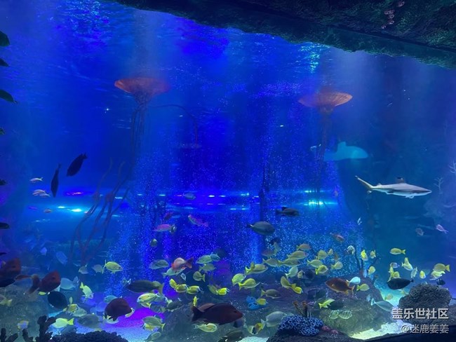 0718完美周末~與三星一起探尋海洋世界奇妙小生物！