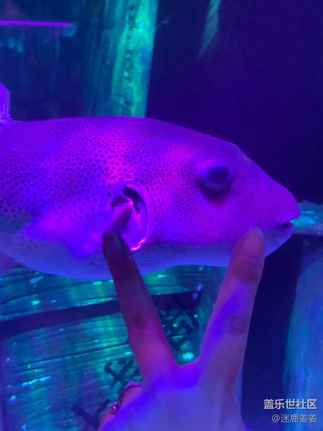 0718完美周末~與三星一起探尋海洋世界奇妙小生物！