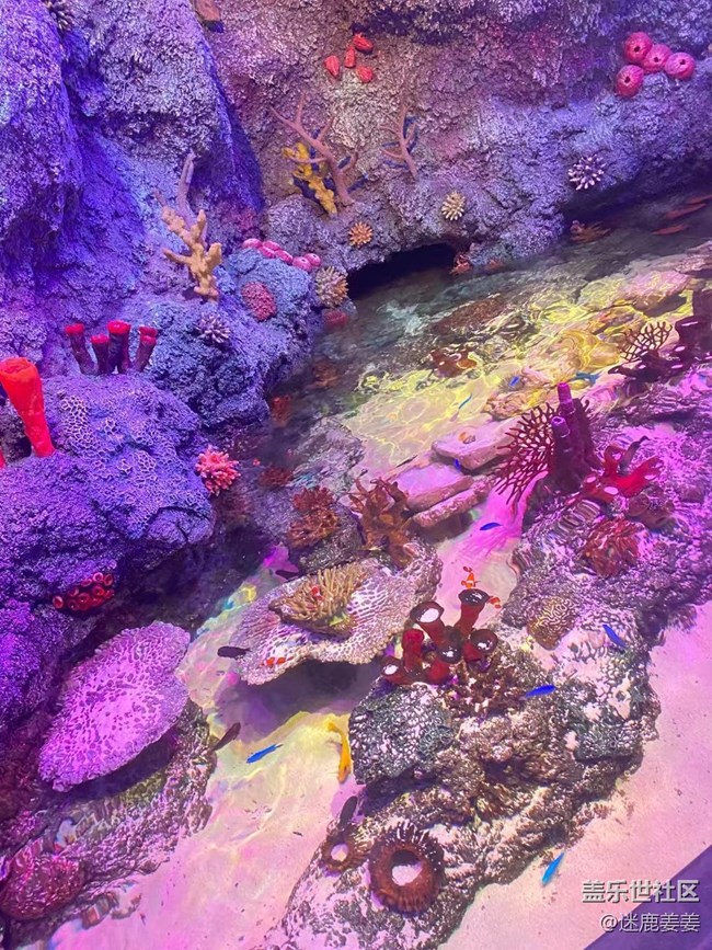 0718完美周末~與三星一起探尋海洋世界奇妙小生物！