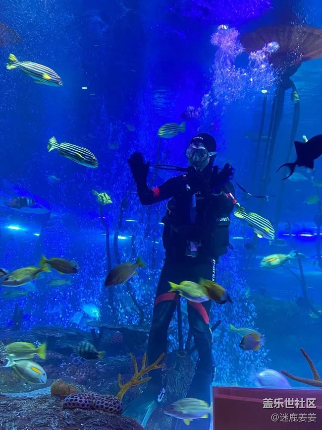 0718完美周末~與三星一起探尋海洋世界奇妙小生物！