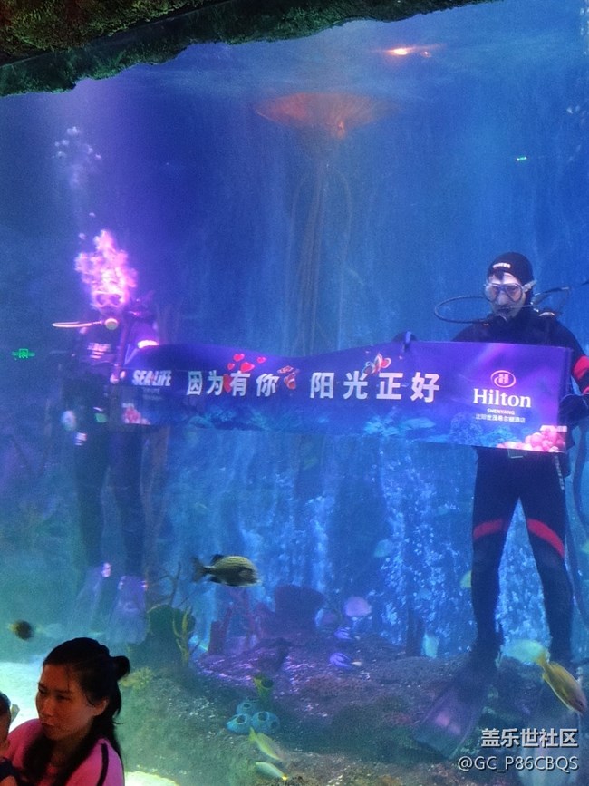 三星手機拍攝美麗生活一一探秘沈陽海洋探索中心