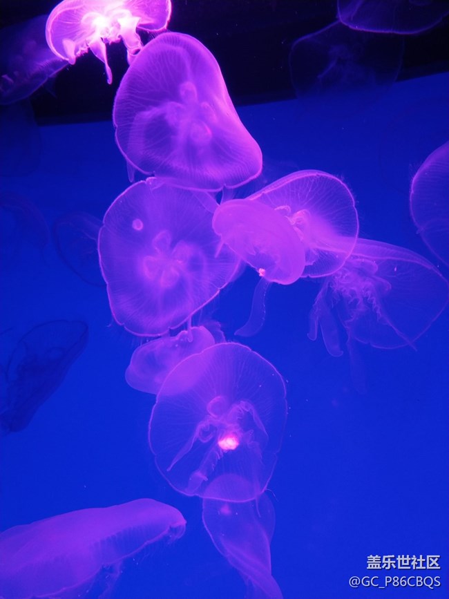 三星手機拍攝美麗生活一一探秘沈陽海洋探索中心