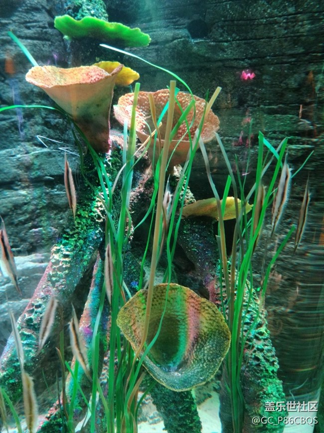 三星手機拍攝美麗生活一一探秘沈陽海洋探索中心