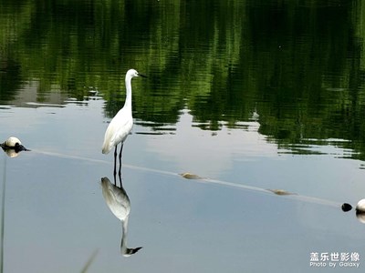 【不負(fù)美好】+成都公園城市之美
