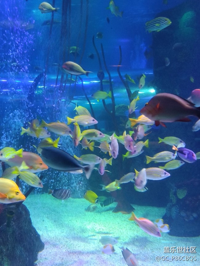 三星手機拍攝美麗生活一一探秘沈陽海洋探索中心